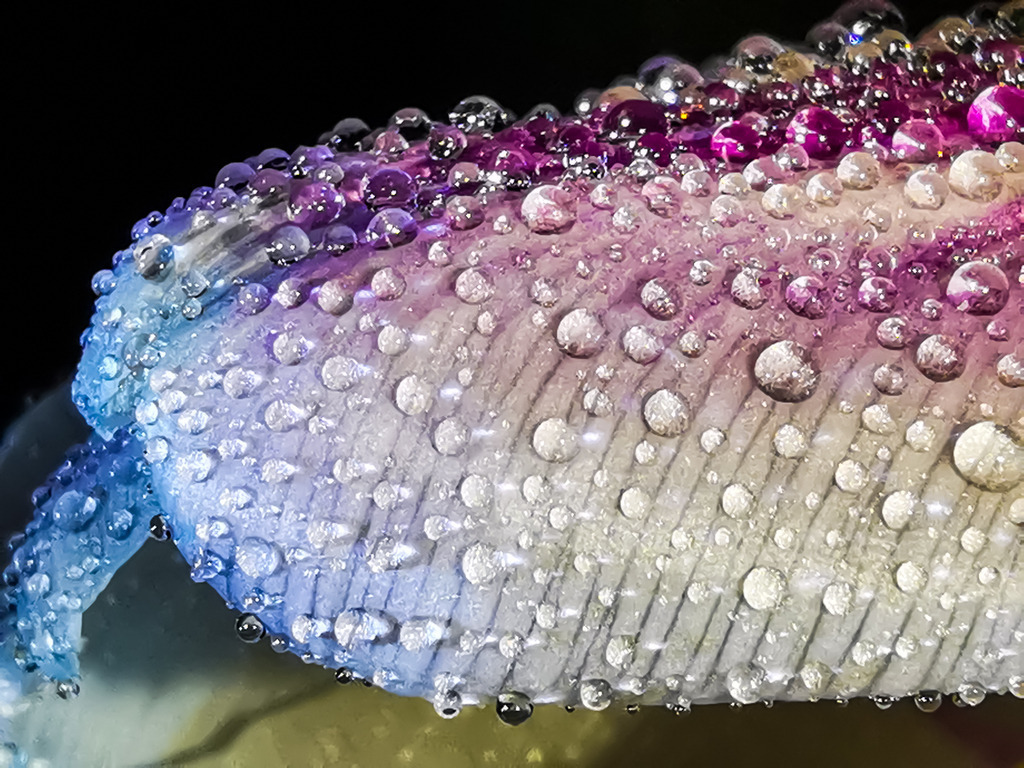 PSX_20230305_225353 | mtkfoto_ - Realisiert mit Pictrs.com