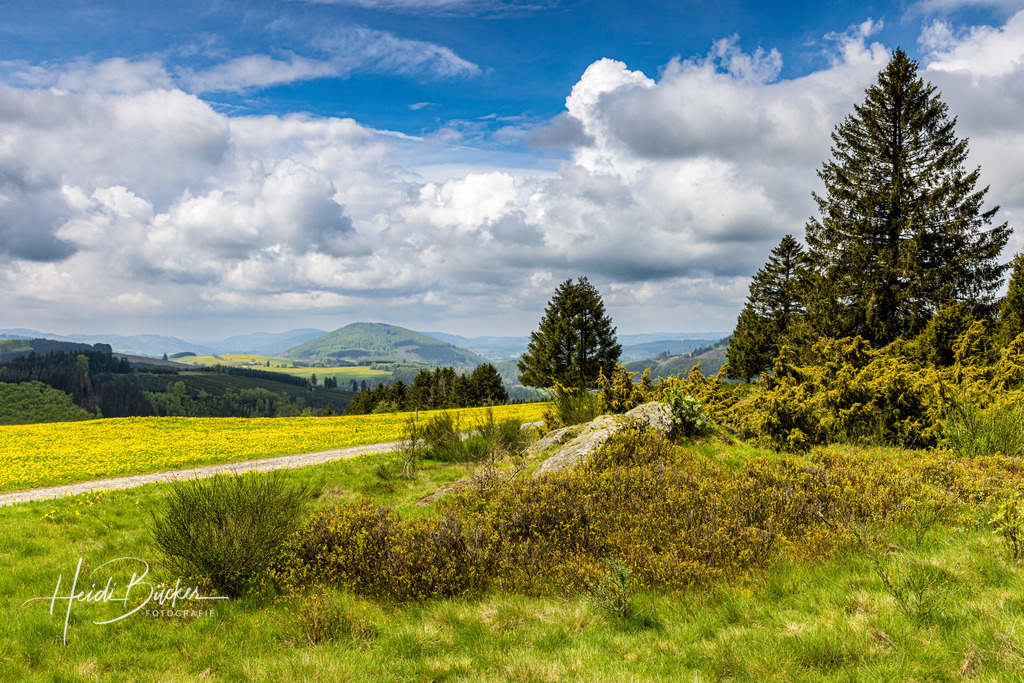 Felsformation im NSG Kalte Kirche bei Westfeld | Felsformation im NSG Kalte Kirche bei Westfeld - Realisiert mit Pictrs.com