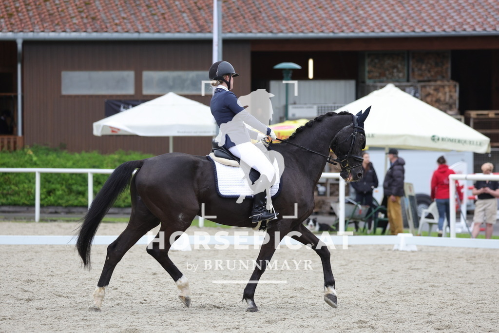 0P6A4313 | Willkommen bei Brunnmayr - Design & Fotografie – Ihrem Spezialisten für Reitturniere und Pferdeveranstaltungen in Oberösterreich, Salzburg und Bayern! Seit über 17 Jahren sind wir leidenschaftlich dabei.