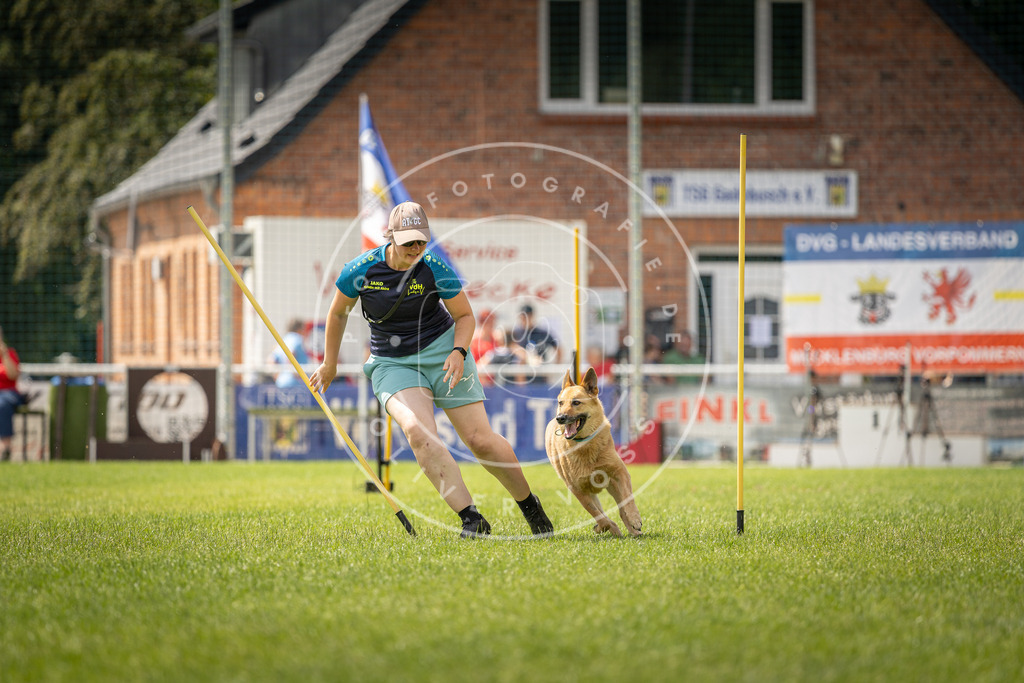 Pfotenfotografie_DV3A4318 | Hundefotografie, Tierfotograf, Pfotenfotografie, Fotoshooting Hund, Hunde Portrait, Hundesport, Hundeportraits, Heideshooting, Hunde, Sportfotograf, Hundefotograf, Turnierhundsport, THS,  - Realisiert mit Pictrs.com