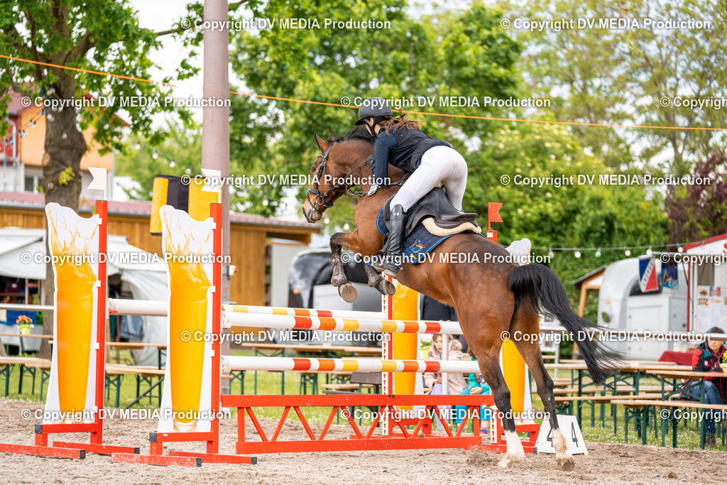 Eppelheim Tag 1-197 | dv-media-shop - Realisiert mit Pictrs.com