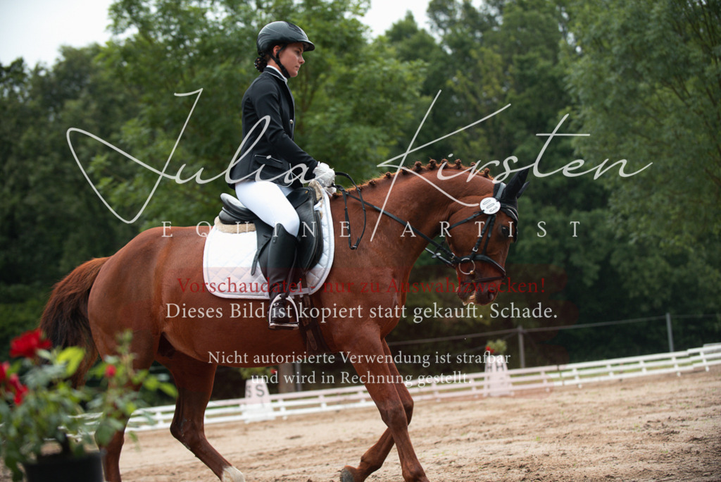 DSC_9806 | Pferde- und Turnierfotografie in Westsachsen. Pferdeportraits, Auftragszeichnungen und intuitive Kunst.
