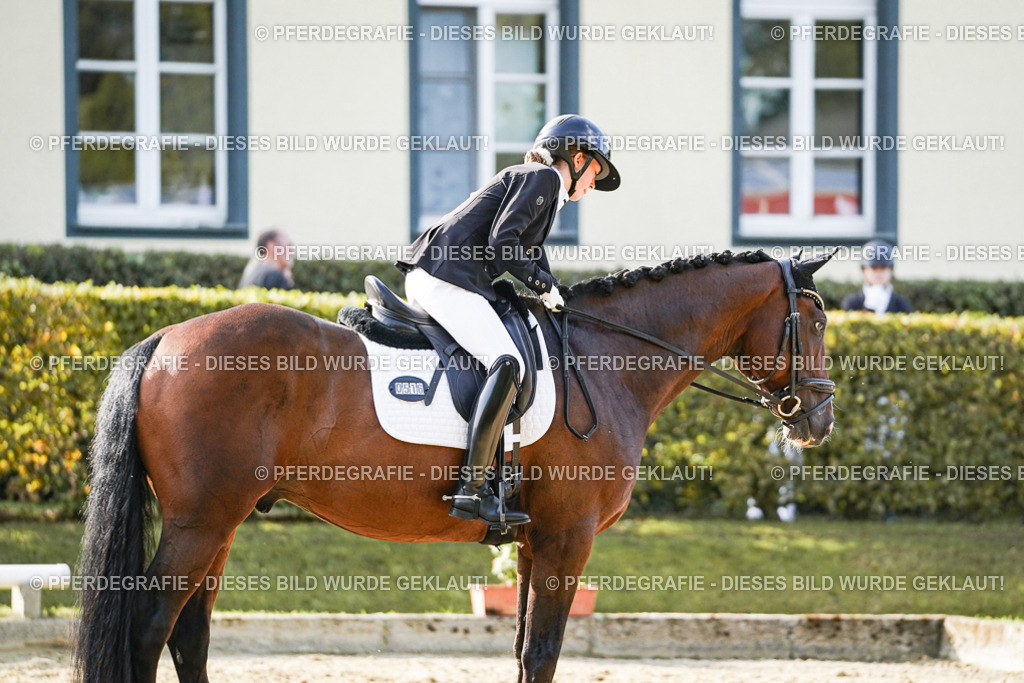 DSC05173 | Pferdegrafie