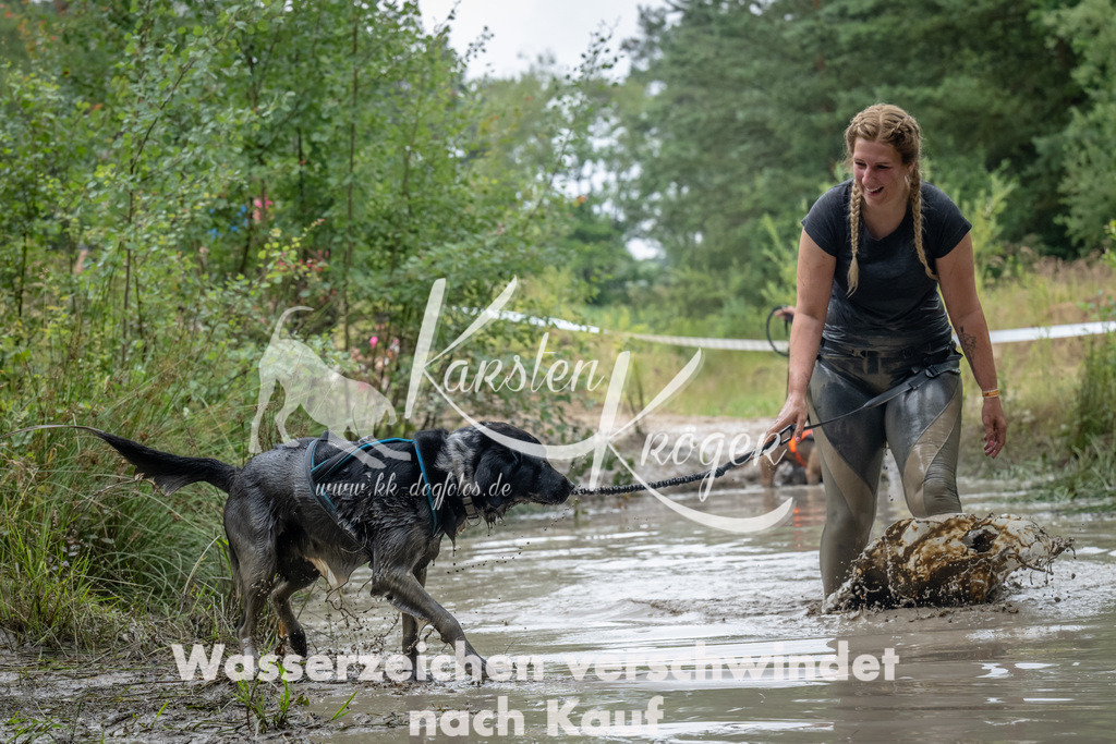 1339_ZZ91382 | kk-dogfotos