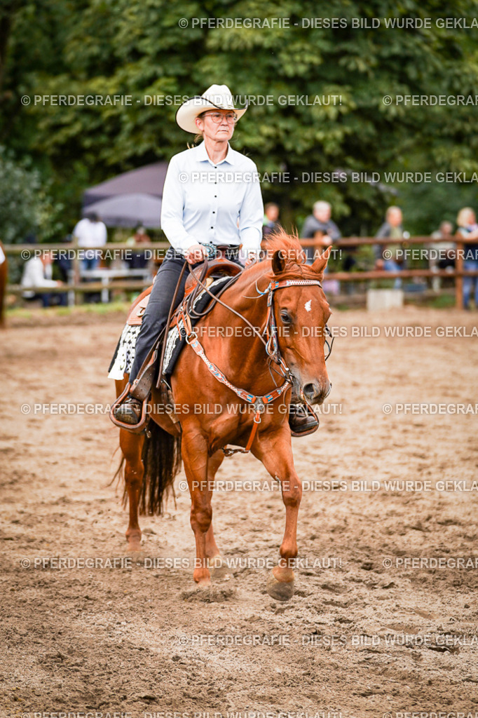 DSC08584 | Pferdegrafie