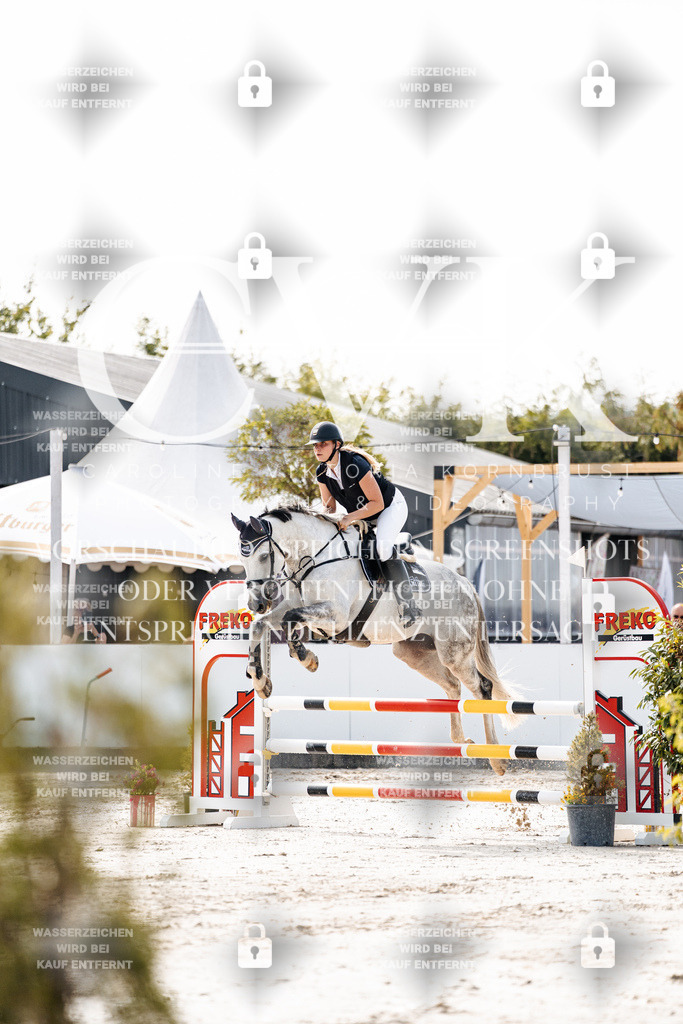 CK905413 | Turnierfotografie Pferdefotografie Trier Rheinland-Pfalz Pferdesport Reitsport Tierfotografie Sportfotografie Pferdevideo Pferdevideografie Equestrianvideography equestrianphotography  - Realisiert mit Pictrs.com