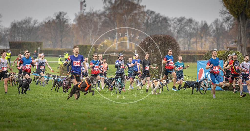 CaniXpix_DV3A9446 | Hundefotografie, Tierfotograf, Pfotenfotografie, Fotoshooting Hund, Hunde Portrait, Hundesport, Hundeportraits, Heideshooting, Hunde, Sportfotograf, Hundefotograf, Turnierhundsport, THS,  - Realisiert mit Pictrs.com