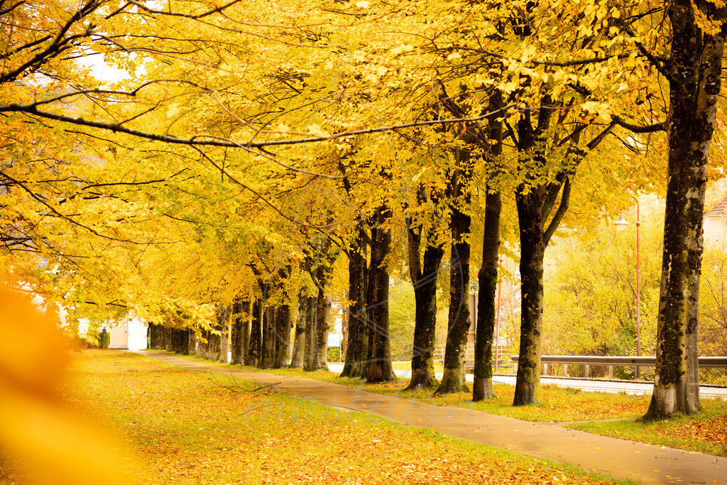 Herbst Gaming | Ihre Fotografin im Lungau, ihre Fotografin im Mostviertel, Wandbilder Onlineshop, Imagefotos für Ihr Unternehmen,  - Realisiert mit Pictrs.com