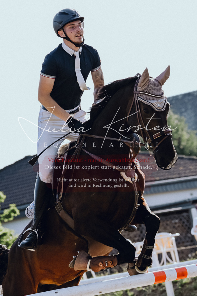 DSC_2949 | Pferde- und Turnierfotografie in Westsachsen. Pferdeportraits, Auftragszeichnungen und intuitive Kunst.