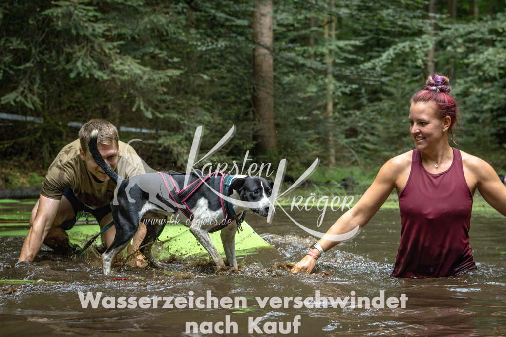 1533_ZZ91315-Bearbeitet | kk-dogfotos