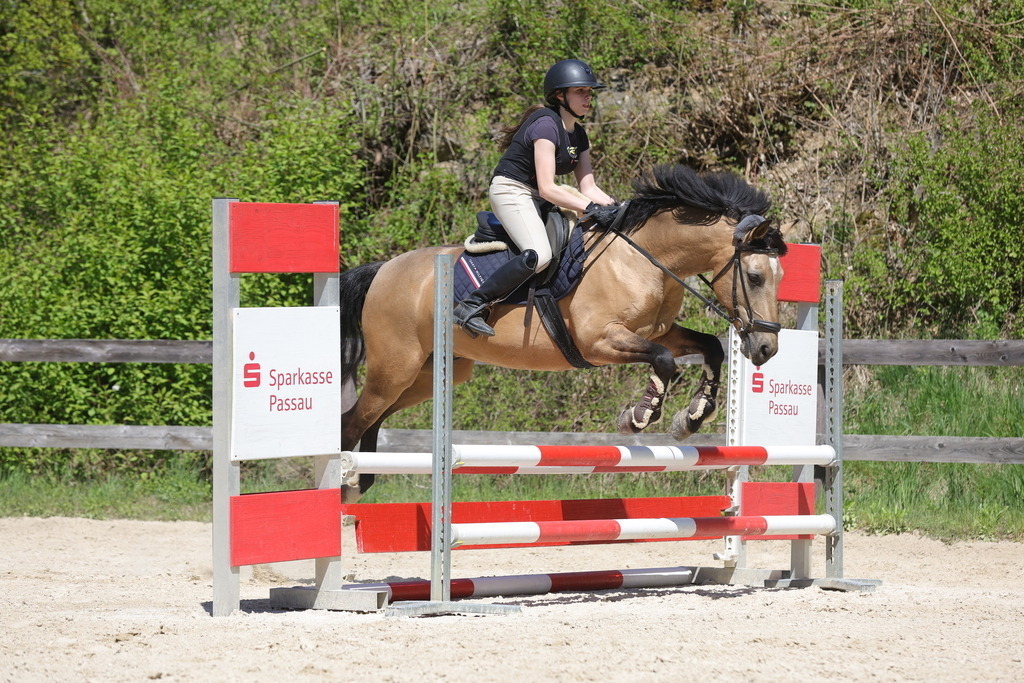 0P6A8862 | Willkommen bei Brunnmayr - Design & Fotografie – Ihrem Spezialisten für Reitturniere und Pferdeveranstaltungen in Oberösterreich, Salzburg und Bayern! Seit über 17 Jahren sind wir leidenschaftlich dabei.