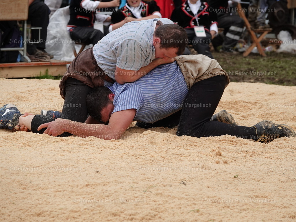 DSC07707 | Schwingen - Realisiert mit Pictrs.com