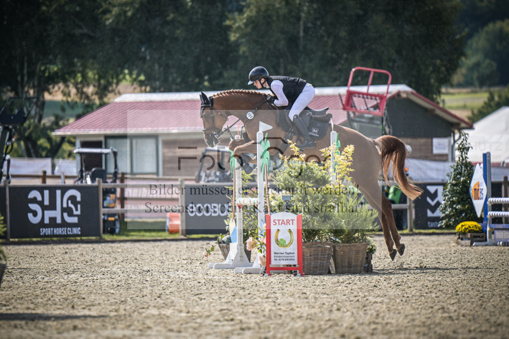 DOS_8452 | Entdecke hochwertige Reitturnierfotos von Foto Oger. Professionell, emotional und authentisch – jetzt Lieblingsmomente im Shop bestellen.Deutschlandweite Turnierfotografie. - Realisiert mit Pictrs.com