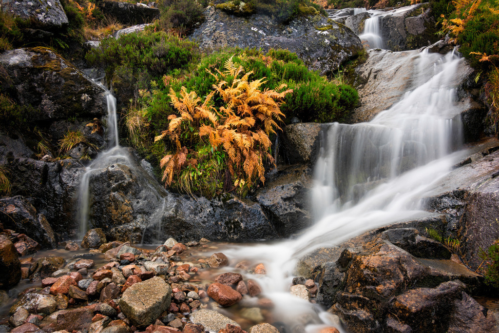 Glencoe | Glencoe ist eine der vielen atemberaubenden Landschaften Schottlands und bei Fotografen beliebt. Diesmal wollte ich ein wenig Höhe gewinnen  in der Hoffnung, verschiede Perspektiven auf die Landschaft zu erhalten. Beim Hochsteigen ist mir dann aber der gelbe Farn im Bachbett aufgefallen. Also runtergeklettert und ja, das kann ein schönes Bild geben. Leider sieht man nichts von der Landschaft (die war ohnehin regenverhangen - allerdings mit Regenbogen), aber das Bild gefällt mir trotzdem ausserordentlich gut. 
Bei der Langzeitaufnahme mit Graufilter gab es beim Farn Bewegungsunschärfe, deshalb habe ich dort eine kürzer belichtete zweite Aufnahme verwendet. 
-----------------------------------------------------------------
One of Scotland's many stunning landscapes, Glencoe is a favorite with photographers. This time I wanted to gain a little height in hopes of getting different perspectives of the landscape. But when I climbed up, I noticed the yellow fern in the creek bed. So climbed down and yes, that can give a nice picture. Unfortunately, you can't see anything of the landscape (which was overcast anyway - albeit with a rainbow), but I still really like the picture.
In the long exposure with neutral density filter, there was motion blur in the fern, so I used a shorter exposed second exposure there.
-----------------------------------------------------------------
Dieser Druck ist in einer limitierten Auflage von 5 Exemplaren erhältlich. 
This print is available in a limited edition of 5 copies. 
http://art.hess.photography/152-glencoe.html - Realisiert mit Pictrs.com