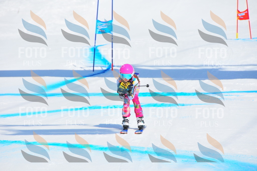 DSC_0564 | holidayphoto