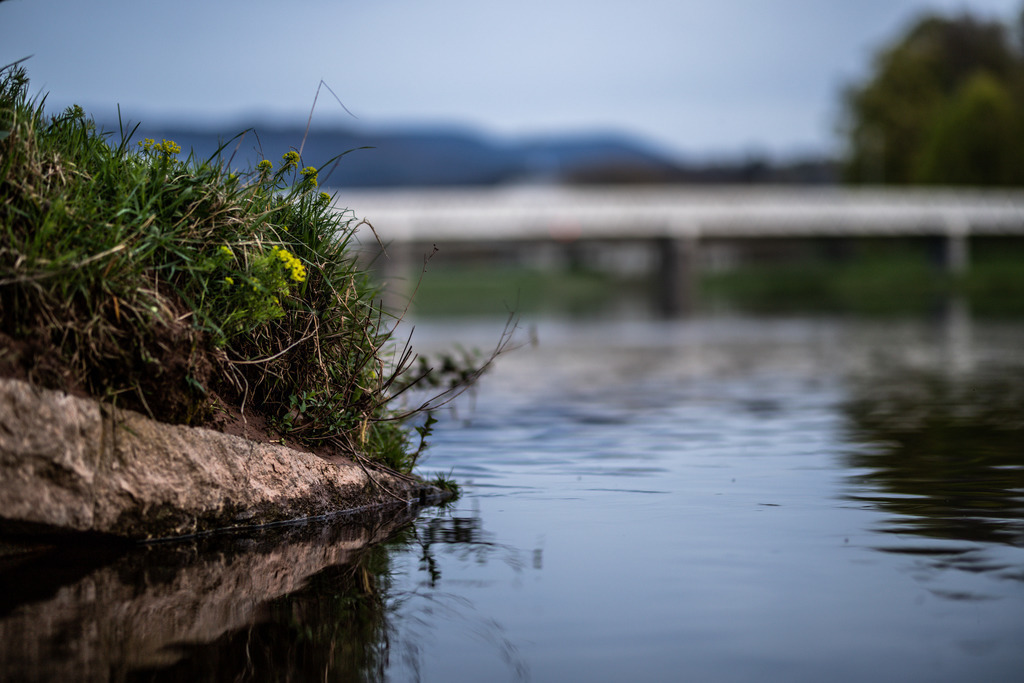 IMG_2313 | ehrlichefotos - Realisiert mit Pictrs.com