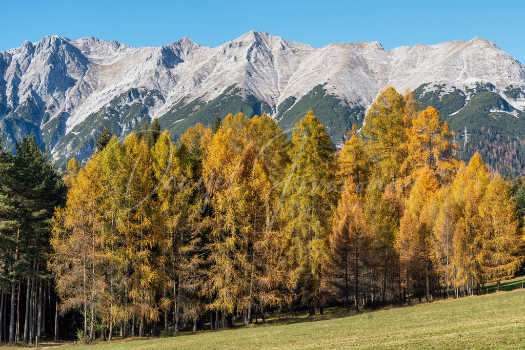 Mieming | Herbst am Mieminger Plateau