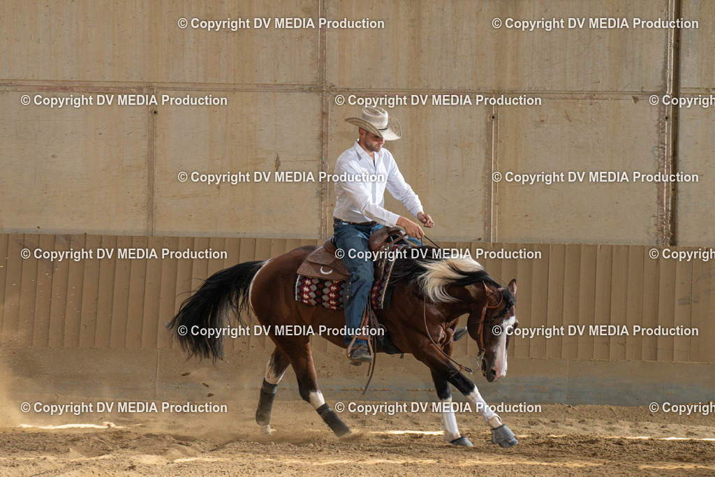 DSC00192 | dv-media-shop - Realisiert mit Pictrs.com