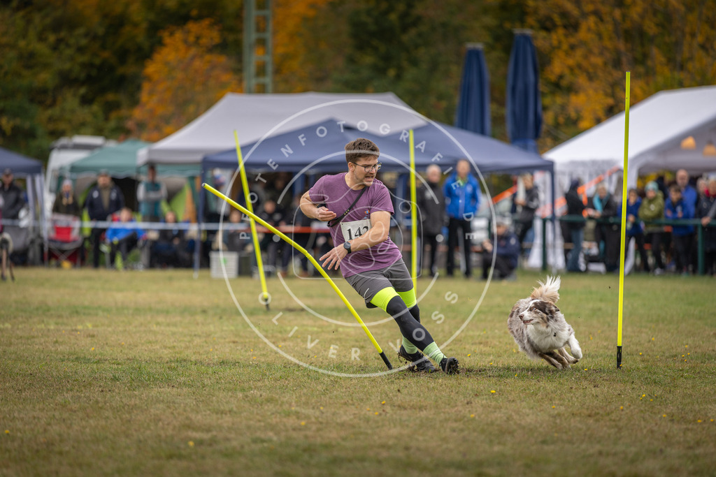 Pfotenfotografie_DV3A8245 | Hundefotografie, Tierfotograf, Pfotenfotografie, Fotoshooting Hund, Hunde Portrait, Hundesport, Hundeportraits, Heideshooting, Hunde, Sportfotograf, Hundefotograf, Turnierhundsport, THS,  - Realisiert mit Pictrs.com