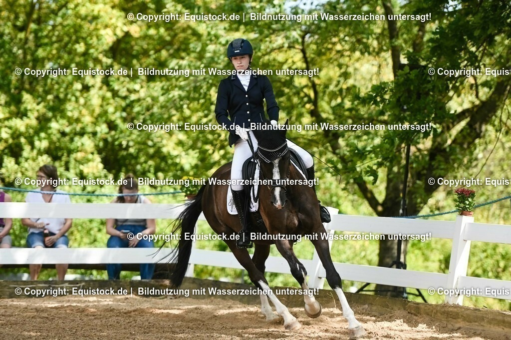 20230715_02_Dressurreiterprüfung Kl.L_0294 | equistock