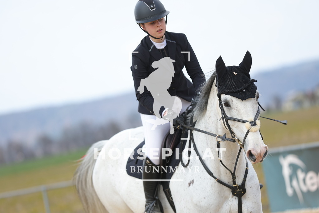 0P6A8130 | Willkommen bei Brunnmayr - Design & Fotografie – Ihrem Spezialisten für Reitturniere und Pferdeveranstaltungen in Oberösterreich, Salzburg und Bayern! Seit über 17 Jahren sind wir leidenschaftlich dabei.