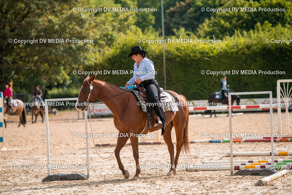 ZS3_9328 | dv-media-shop - Realisiert mit Pictrs.com