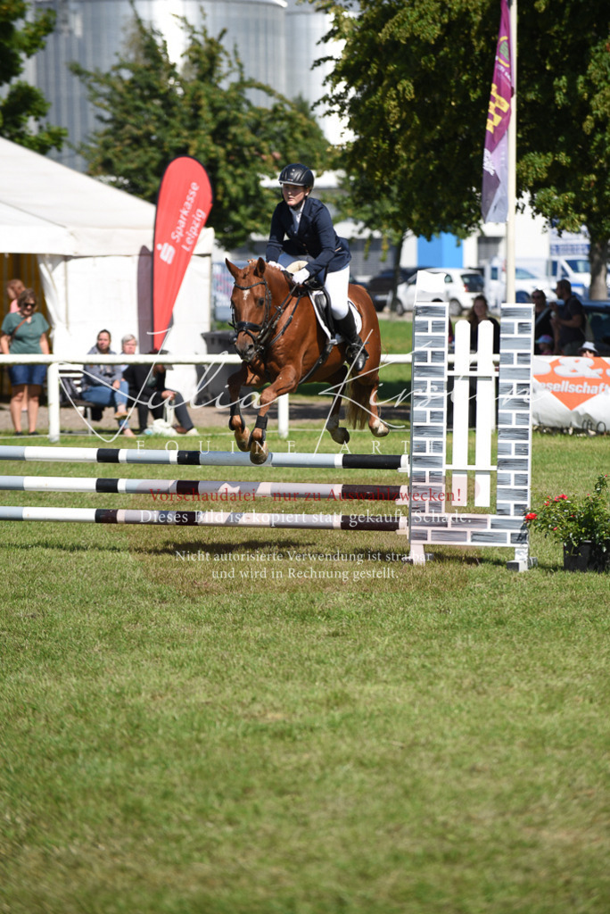 DSC_9305 | Pferde- und Turnierfotografie in Westsachsen. Pferdeportraits, Auftragszeichnungen und intuitive Kunst.