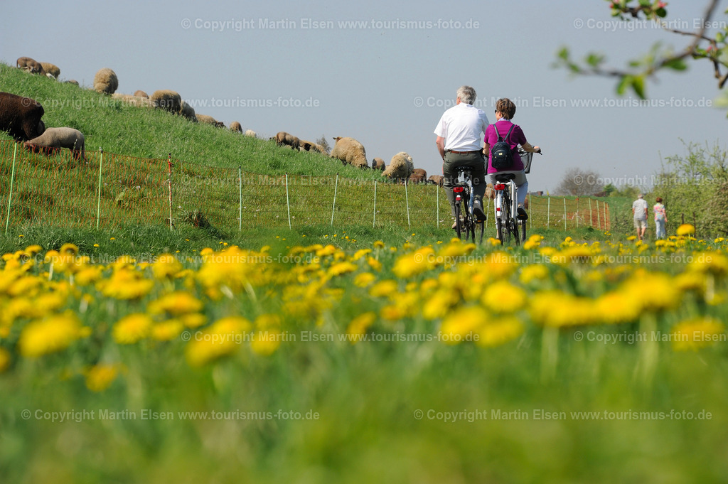 Radfahrer Lühe Deich_ELS_9904135432a | Kehdingen - Aufnahmedatum: 23.04.2011, Aufnahmehöhe: 1 m, Koordinaten: N53°34.526' - E9°37.371', Bildgröße: 4256 x  2832 Pixel - Copyright 2011 by Martin Elsen, Kontakt: Tel.: +49 157 74581206, E-Mail: info@schoenes-foto.deSchlagwörter: - Realisiert mit Pictrs.com