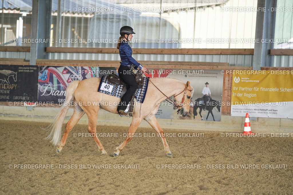 DSC09296 | Pferdegrafie