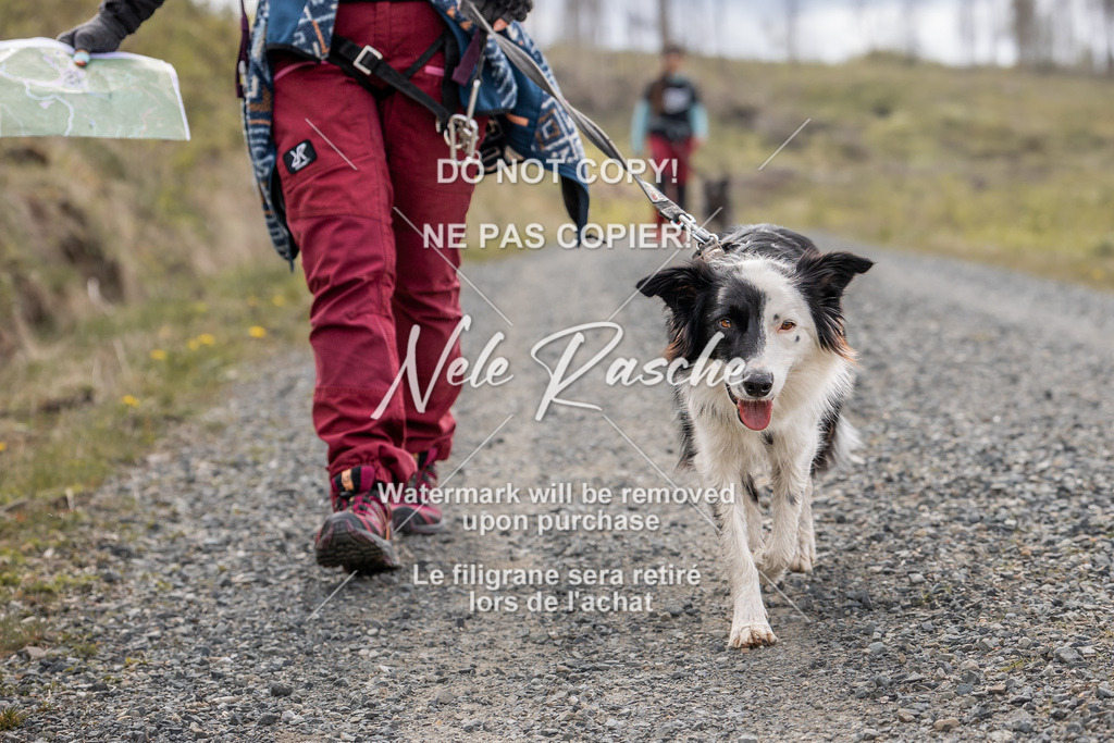 6Z1A1435 | nelerasche
