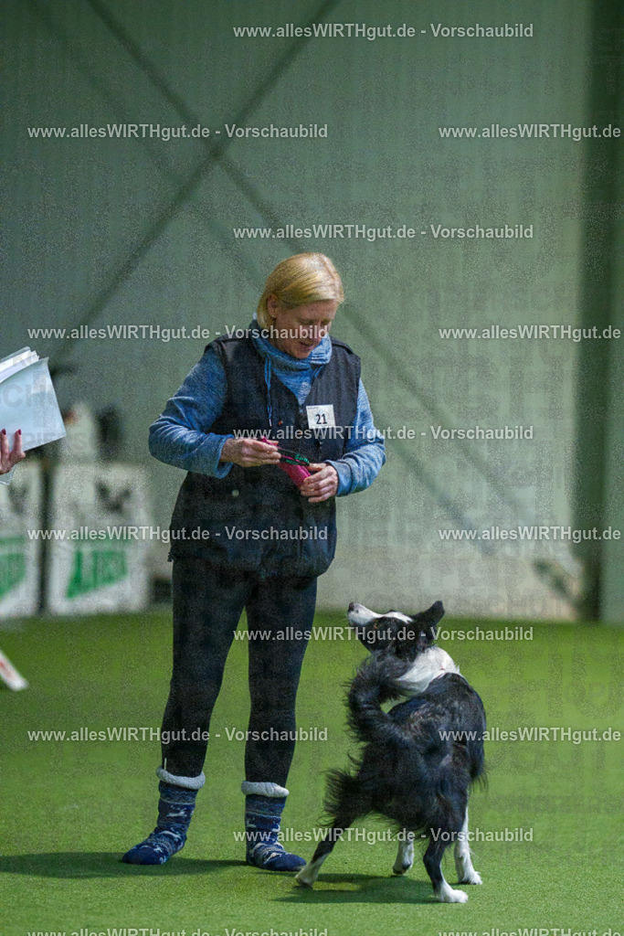 7R501058 | Professionelle Tierfotografie in Mönchengladbach von Daniel Wirth (allesWIRTHgut). Liebevolle & natürliche Bilder von Hunden & Katzen für unvergessliche Erinnerungen.