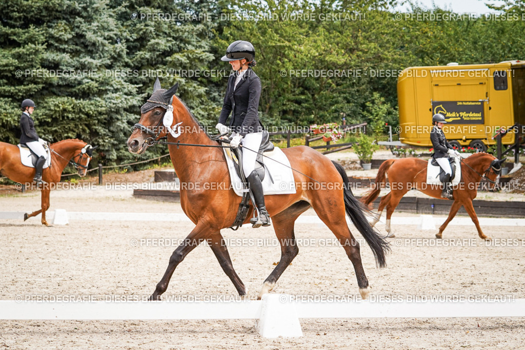 DSC04608 | Pferdegrafie