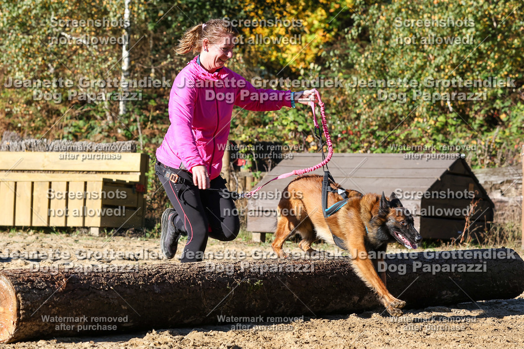 Dog Paparazzi - Strongdog 10-25-1992 | Dog Paparazzi Jeanette Grottendiek Fotografie & Videografie - Realisiert mit Pictrs.com