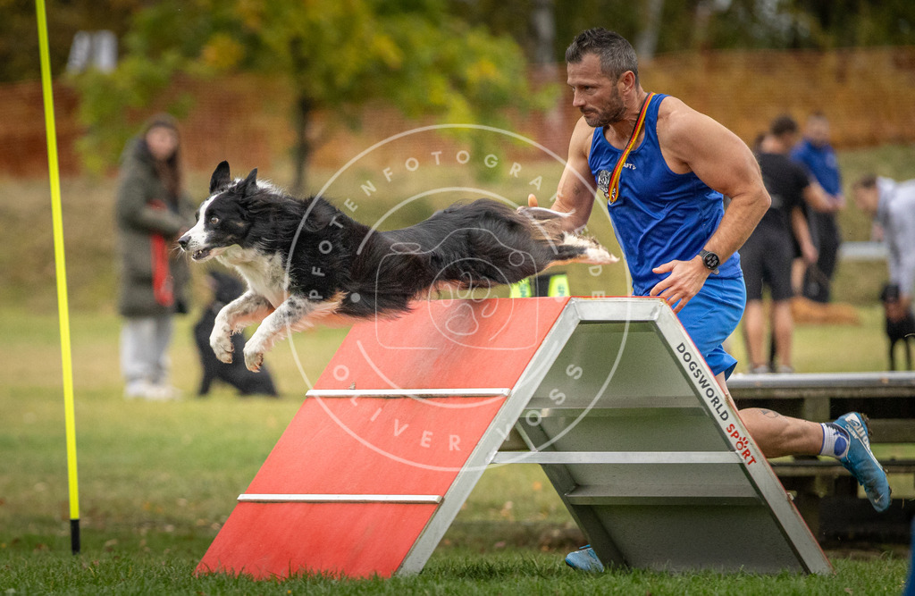 Pfotenfotografie_DV3A0205 | Hundefotografie, Tierfotograf, Pfotenfotografie, Fotoshooting Hund, Hunde Portrait, Hundesport, Hundeportraits, Heideshooting, Hunde, Sportfotograf, Hundefotograf, Turnierhundsport, THS,  - Realisiert mit Pictrs.com