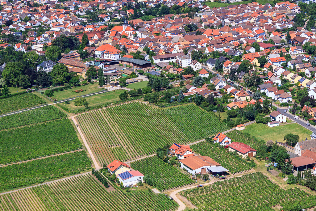 Luftbild: Gebäude und Parkanlagen am Weingut Dr. Bürklin-Wolf in Wachenheim an der Weinstraße im Bundesland Rheinland-Pfalz in Deutschland. Foto: IMG_30144.jpg vom 05.07.2010 durch Werner Riehm/FLY-FOTO.deWeingut Dr. Bürklin Wolf: Weingut Dr. Bürklin-Wolf
