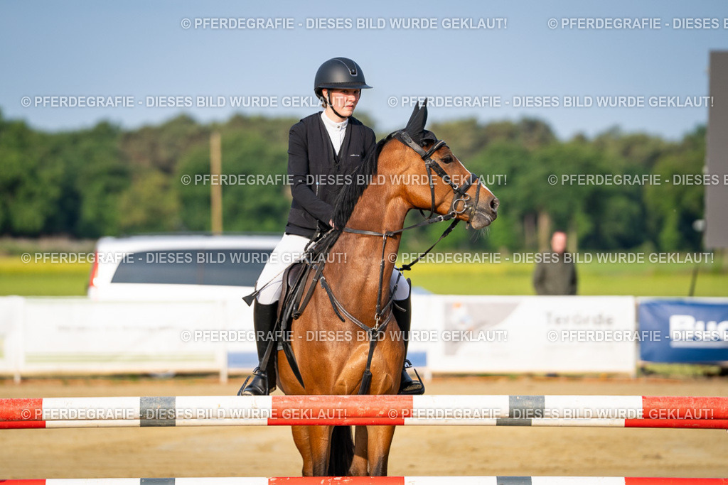 DSC02049 | Pferdegrafie