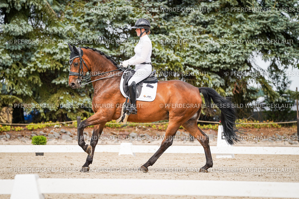 DSC06735 | Pferdegrafie