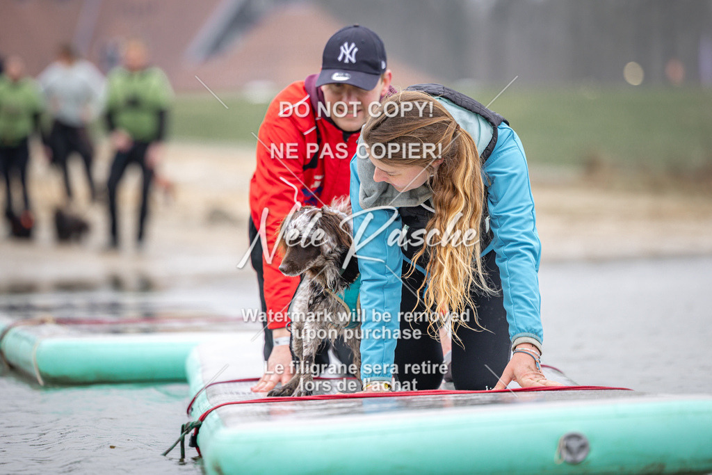 nelerasche_Hulsbeek_Sa1030-1100_355 | nelerasche