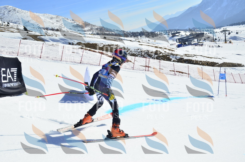 _ELE9832 | holidayphoto