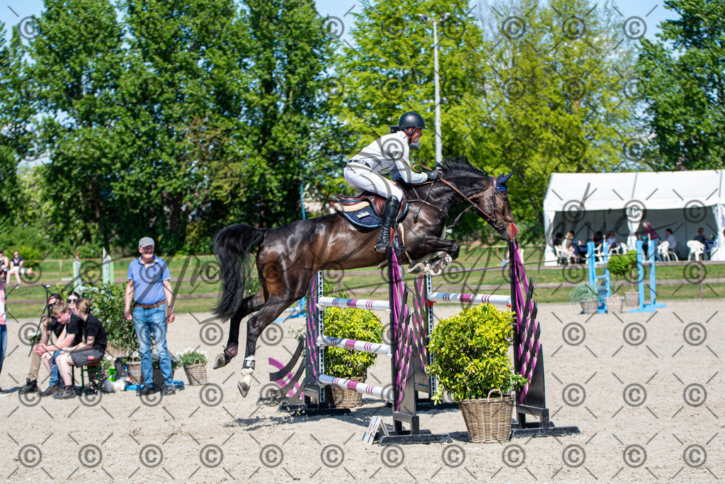 KPT_1415 | andre_photographic