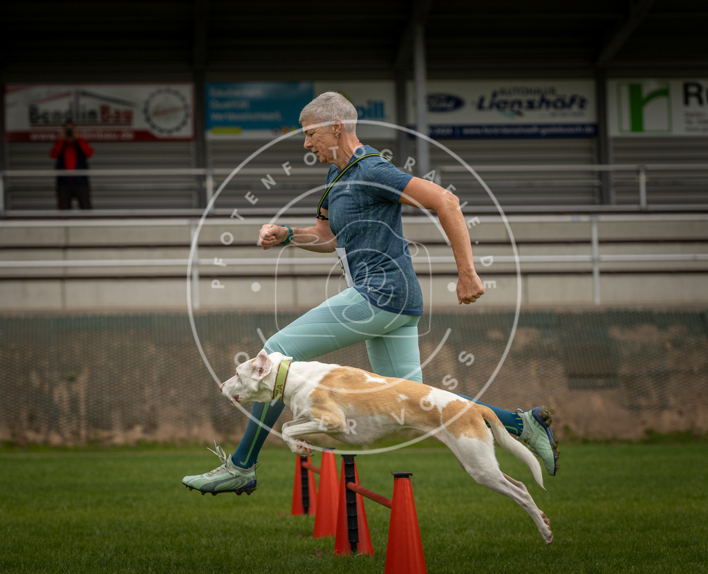 Pfotenfotografie_DV3A7786 | Hundefotografie, Tierfotograf, Pfotenfotografie, Fotoshooting Hund, Hunde Portrait, Hundesport, Hundeportraits, Heideshooting, Hunde, Sportfotograf, Hundefotograf, Turnierhundsport, THS,  - Realisiert mit Pictrs.com