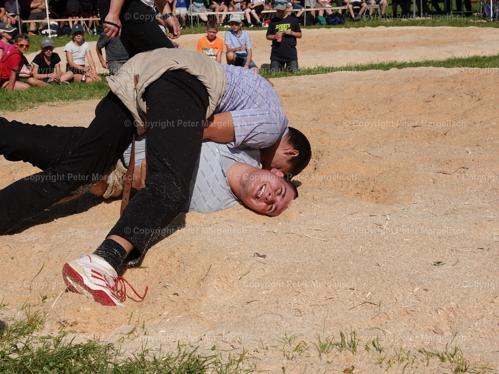 DSC04780 | Schwingen - Realisiert mit Pictrs.com