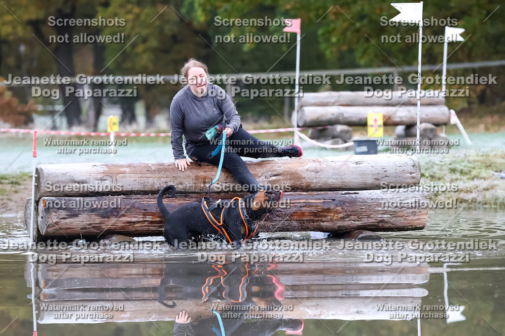 Dog Paparazzi - Strongdog 10-25-6072 | Dog Paparazzi Jeanette Grottendiek Fotografie & Videografie - Realisiert mit Pictrs.com