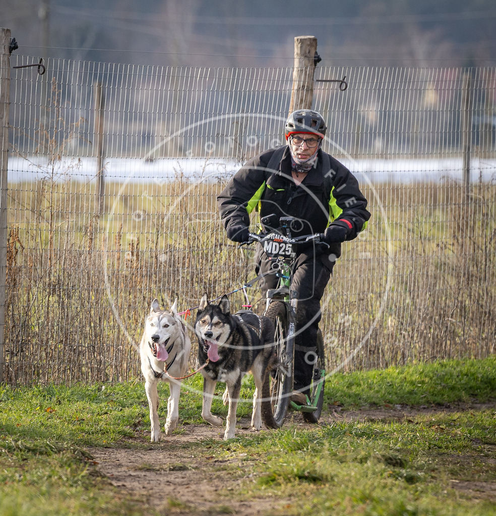 Pfotenfotografie_DV3A6872 | Hundefotografie, Tierfotograf, Pfotenfotografie, Fotoshooting Hund, Hunde Portrait, Hundesport, Hundeportraits, Heideshooting, Hunde, Sportfotograf, Hundefotograf, Turnierhundsport, THS,  - Realisiert mit Pictrs.com