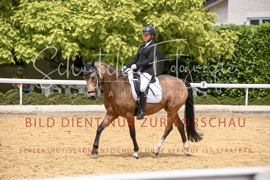 Schugtsche-Aluta25-55.Dressurreiterprf.L1Tr-137 | Schugtsche Fotografie - Realisiert mit Pictrs.com