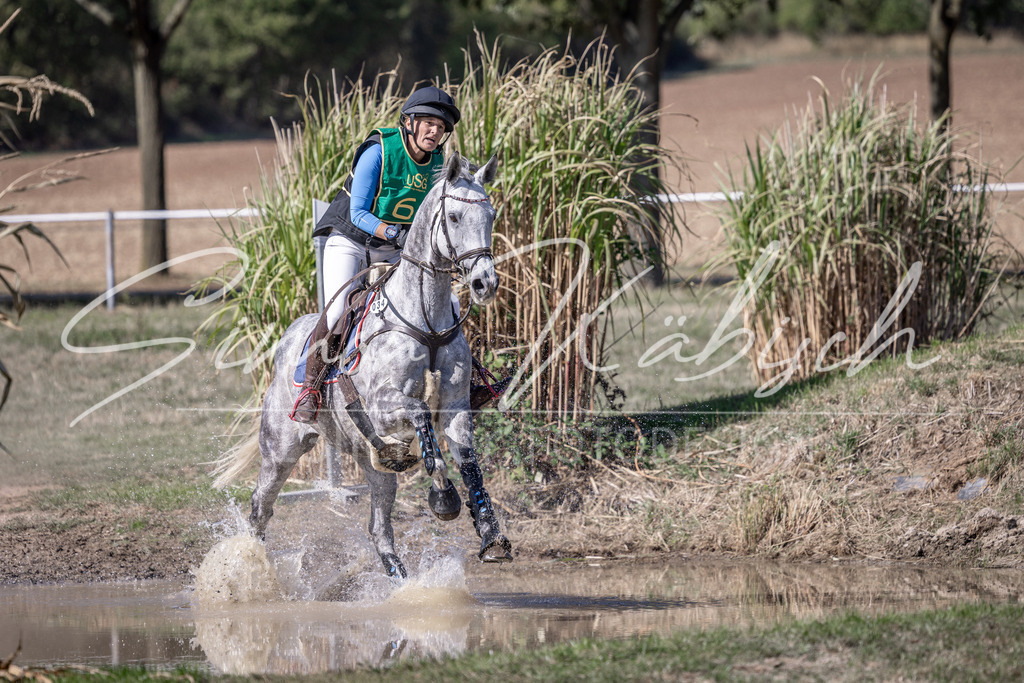 20260906-_3LI5339 | Tierfotografie Pferde, Hunde, Katzen, Haustiere.
Turnierfotografie Reitturniere, Reiten, Springreiten, Dressur in Hanau, dem Main-Kinzig-Kreis und dem Rhein-Main- Gebiet um Frankfurt