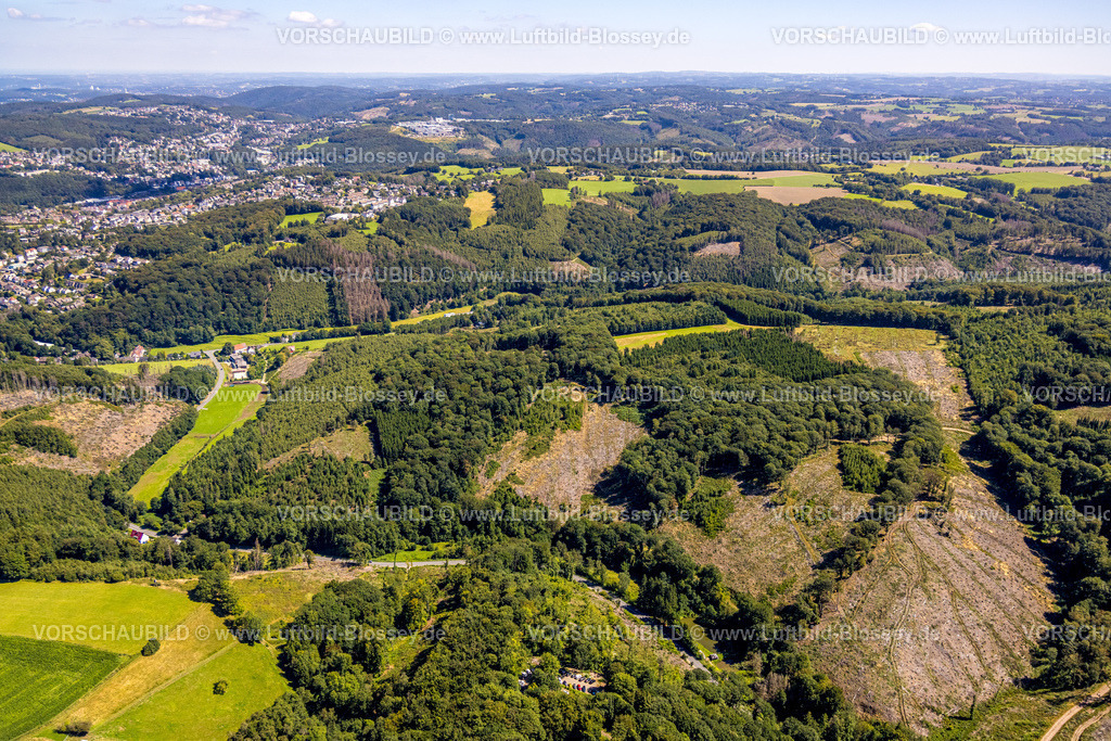 Ennepetal230801475 | Luftbild, Waldschäden und Kahlschlag, an der Holthauser Talstraße, Milspe, Ennepetal, Ruhrgebiet, Nordrhein-Westfalen, Deutschland