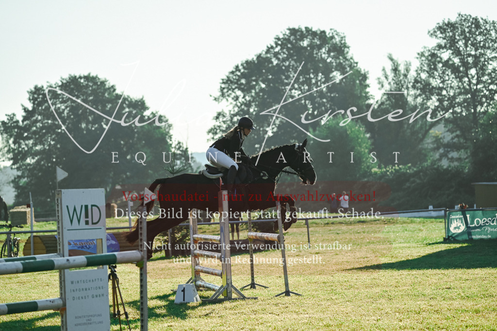 DSC_3855 | Pferde- und Turnierfotografie in Westsachsen. Pferdeportraits, Auftragszeichnungen und intuitive Kunst.