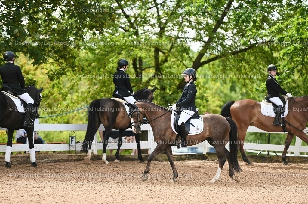 20230716_10-1_Reiter-WB Schritt - Trab - Galopp_0168 | equistock