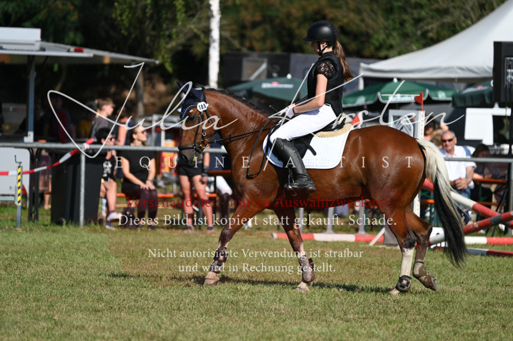 DSC_5336 | Pferde- und Turnierfotografie in Westsachsen. Pferdeportraits, Auftragszeichnungen und intuitive Kunst.